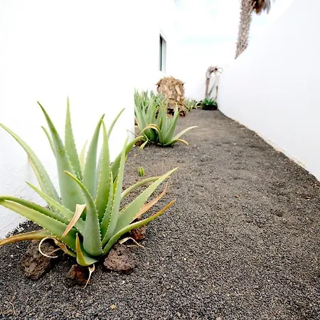 Bayside Kalendra-rofe Guatiza